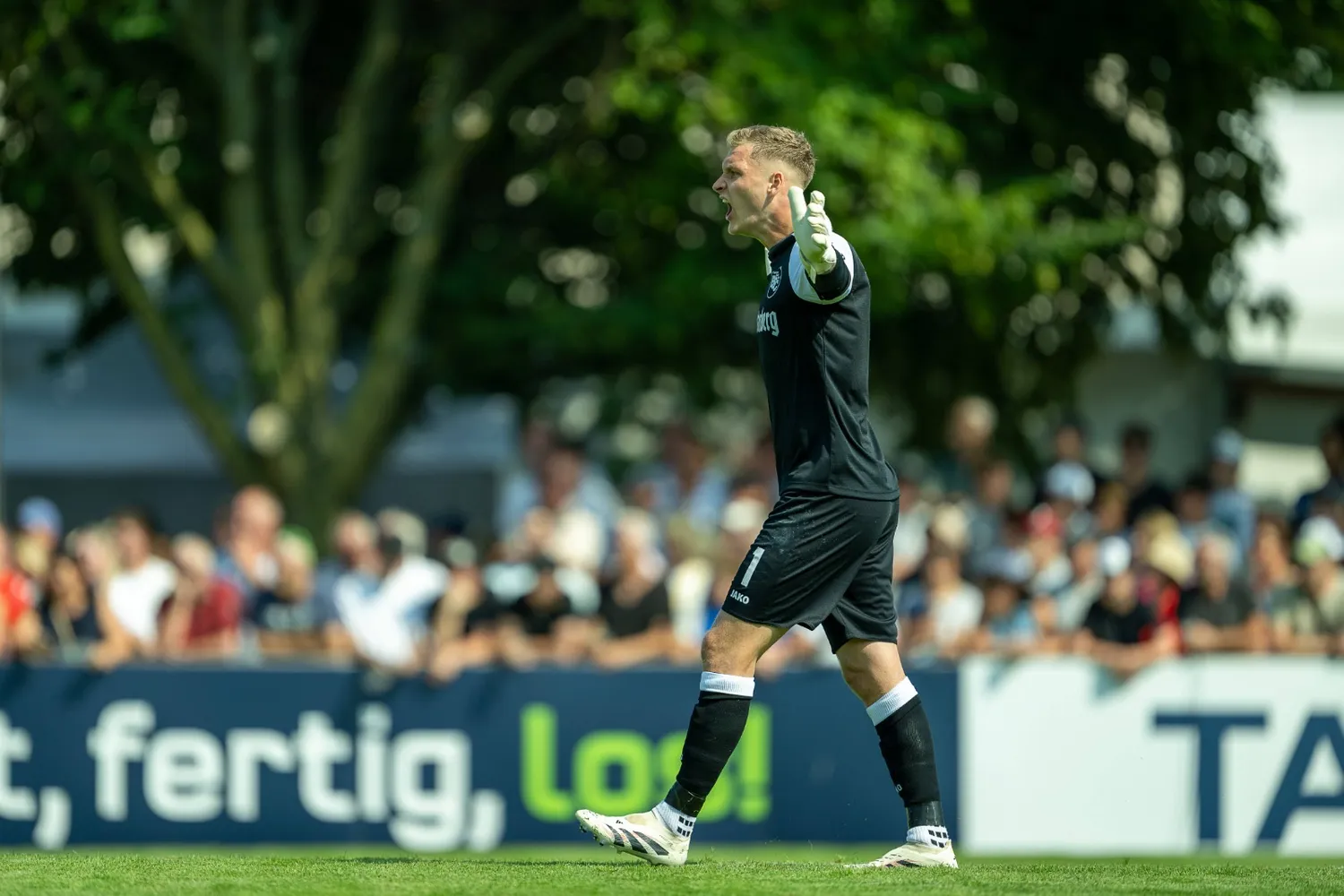 Luca Petzold kommt nach Emden