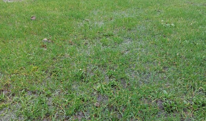 Nach Absage: Auswärtsspiel bei Arminia Hannover neu terminiert